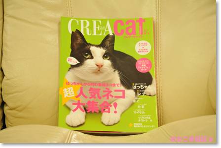 CREA　CAT.jpg