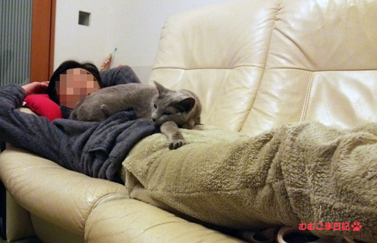 ソファに横たわるかつりんの上で寝転ぶむむちゃん.jpg