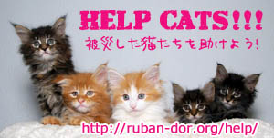 helpcats_banner.jpg
